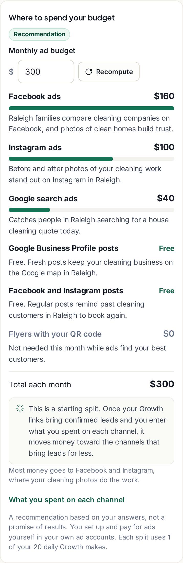 The Where to spend your budget card: $300 a month split into Facebook ads, Instagram ads and Google search ads in whole dollars, free Google Business and social posts, with a reason under each